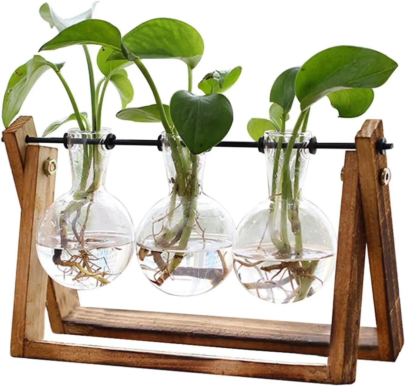 XXXFLOWER XXXFLOWER Plant Terrarium with Wooden Stand