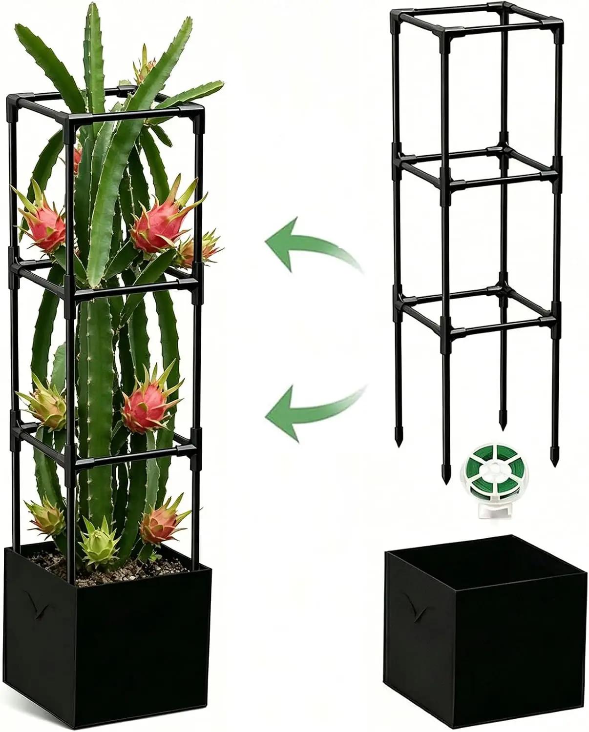 2PCS Dragon Fruit Trellis for Climbing Plants Indoor Outdoor, Heavy Duty Metal Adjustable Vertical Garden Support for Indoor Outdoor Potted Plants, Tomato, Cactus, Roses,Vines(12 * 12 * 47inch,2PC)