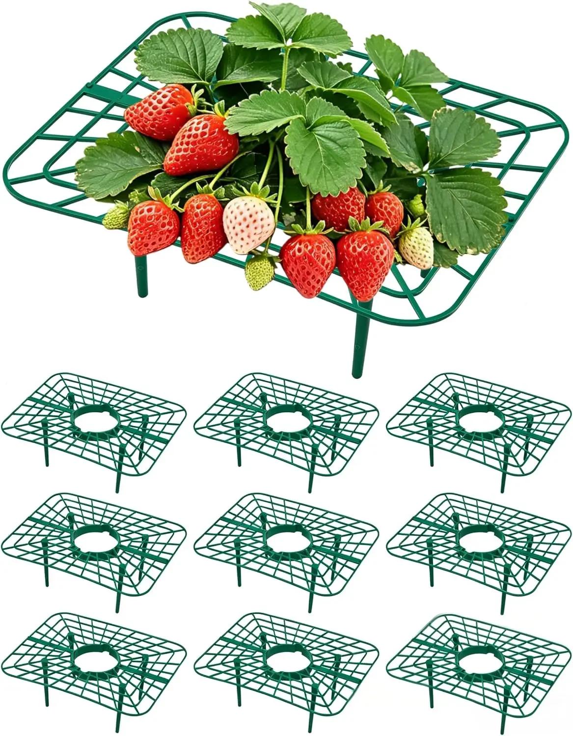 Unves 10 Pack Strawberry Plant Support, Square Strawberry Plant Stand, Suitable for Garden Strawberries Melons and Other Fruits Planting Holder, Keeping Garden Strawberries Plants Clean
